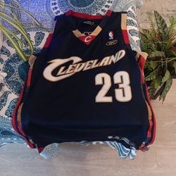  Lebron James. Jersey 