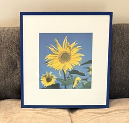 Large Sunflower Framed Photograph