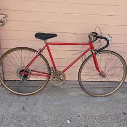 Schwinn Varsity