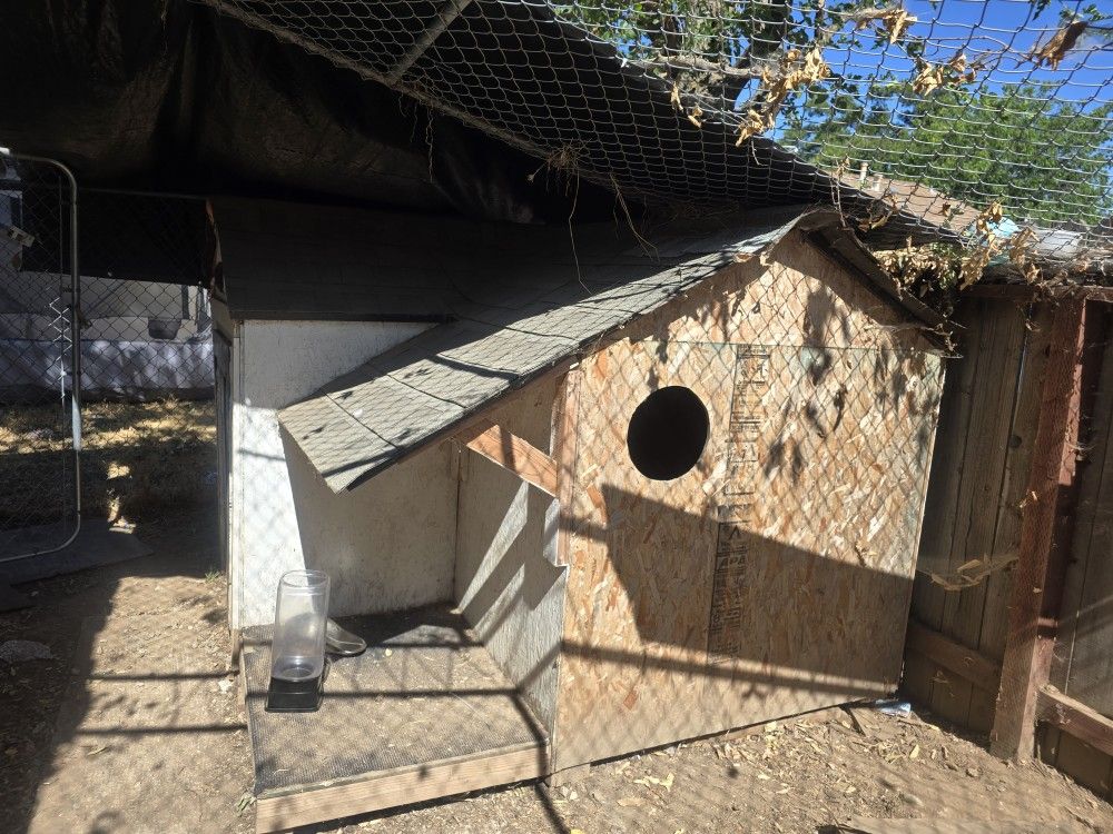 Large Dog House (FREE)