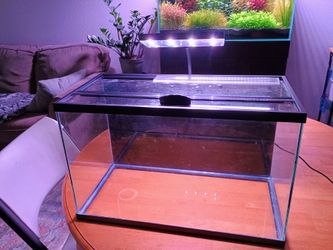 10 Gallon Aquarium with LED light and Lid