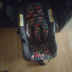 Carseat/Carrier 