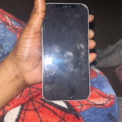 iPhone 12 Blinking Apple Logo 