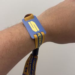 Two Skyline Sunday Ticket, need to get rid of asap!