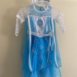 Elsa Costume - Girl’s Size 3-4