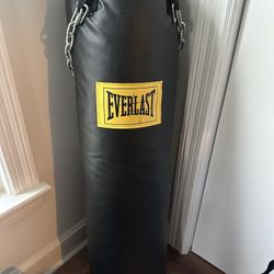 Everlast 100lb Punching Bag $50 Local Pick Up Only 