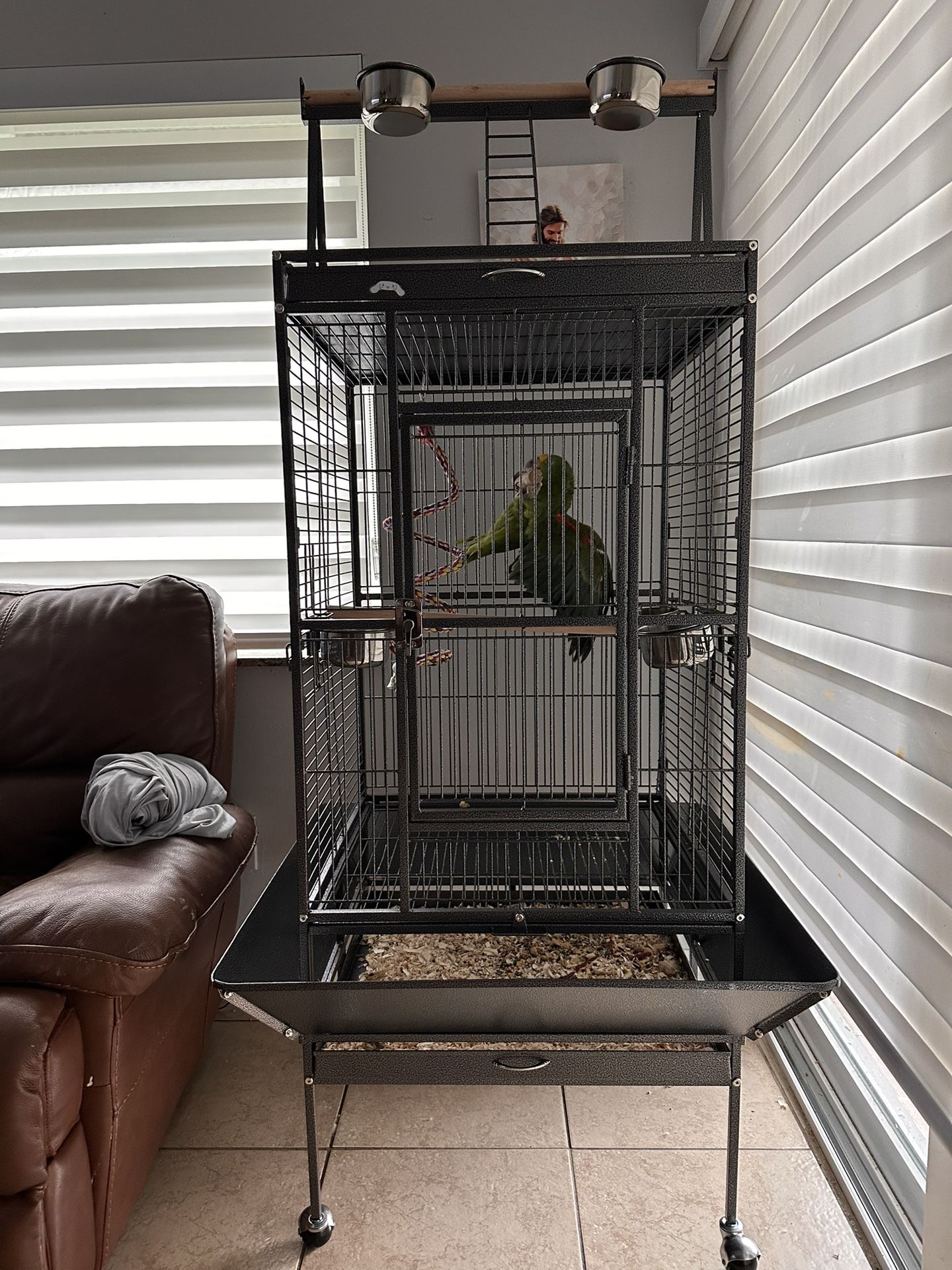 Bird Cage
