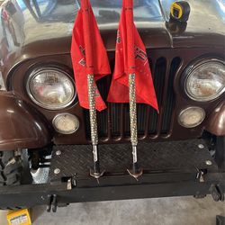 Whip Tech 2 Foot Spiral LED