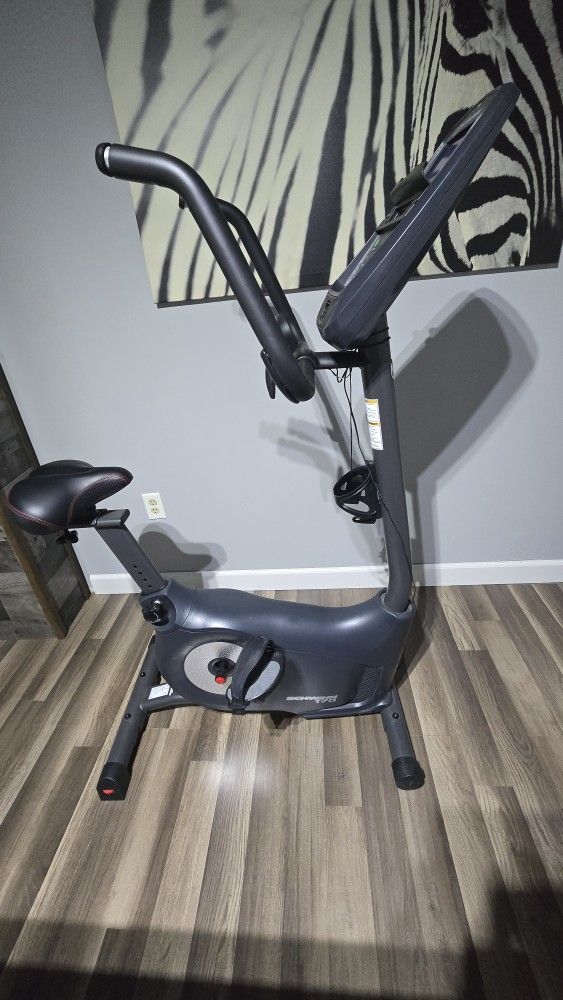 Schwinn 170 Upright Bike
