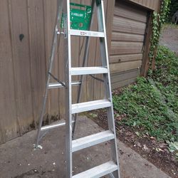 Keller 6 foot ladder
