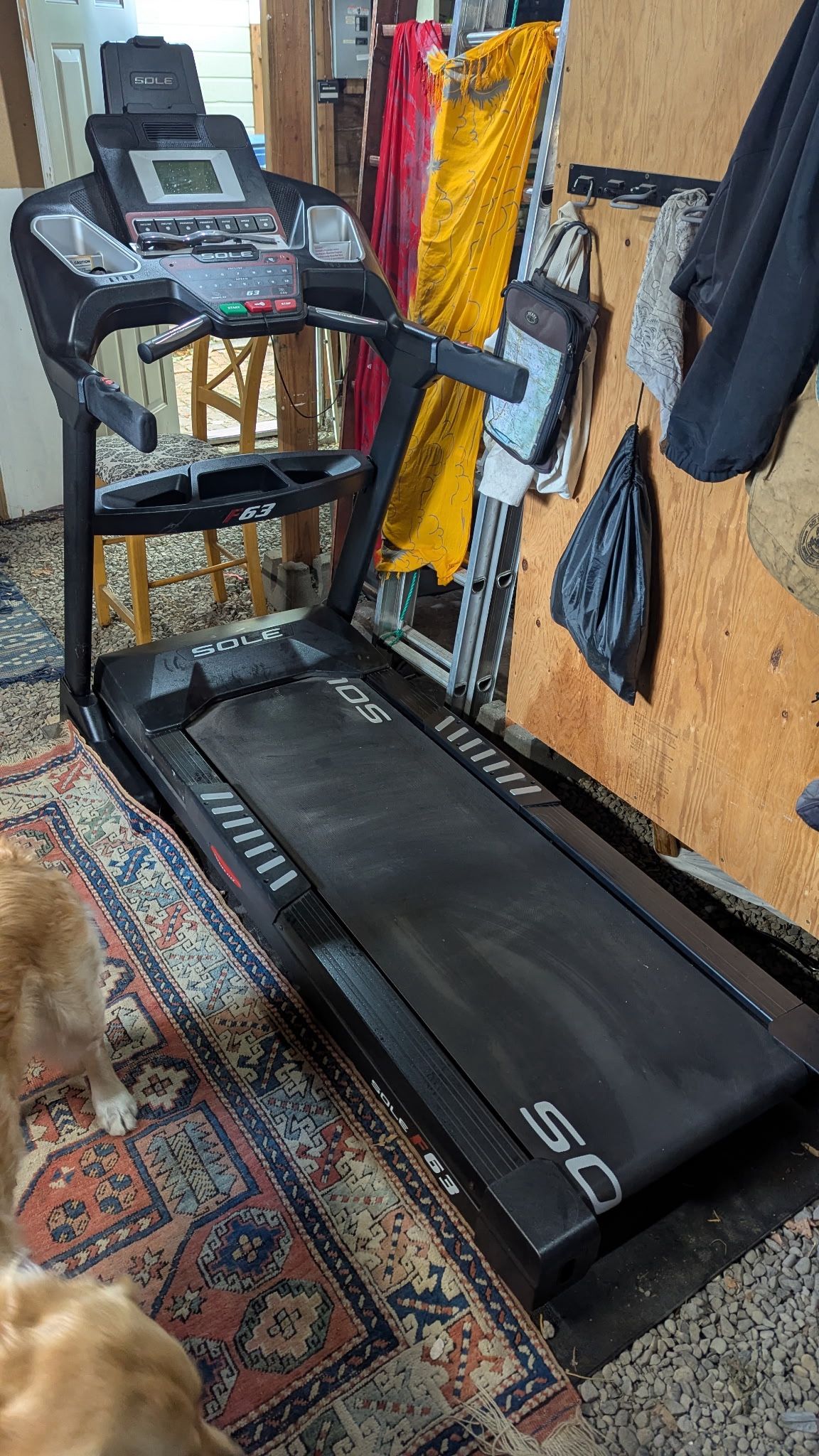 Brand new Treadmill Sole F63