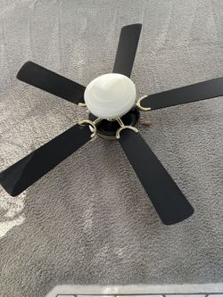 Ceiling Fan / With Light