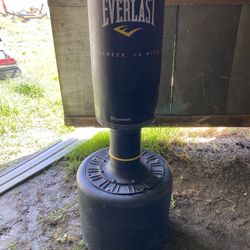 Everlast Punching Bag