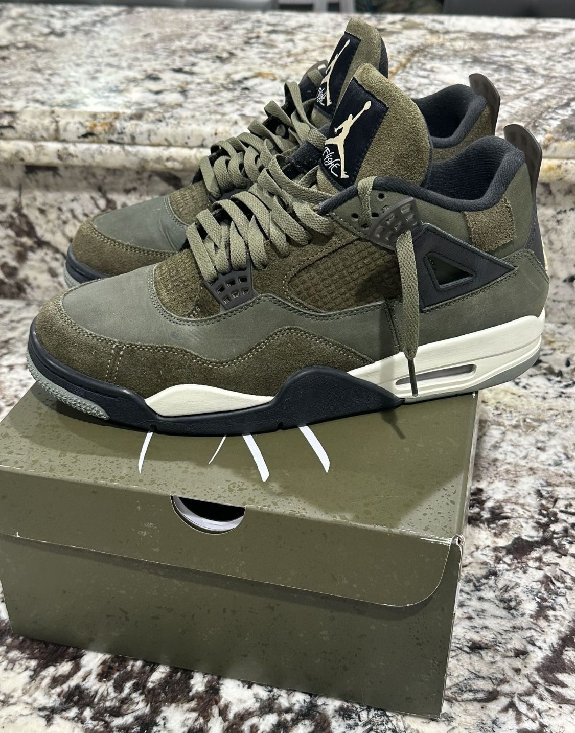 Air Jordan 4 $200
