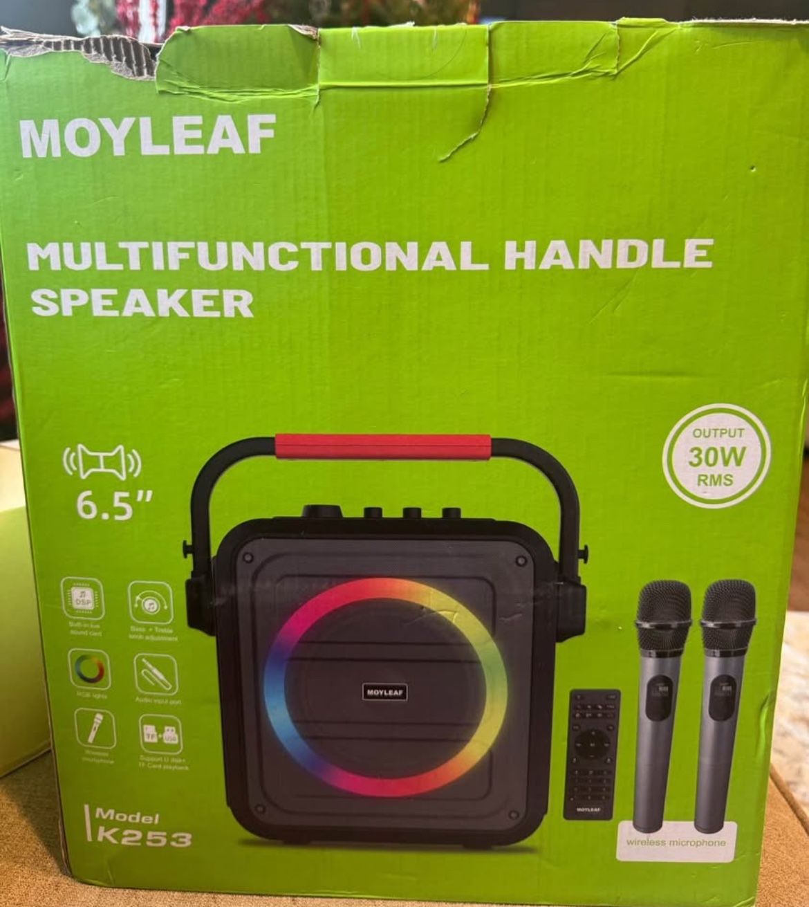 Bluetooth Karaoke Machine With 2 Microphones New