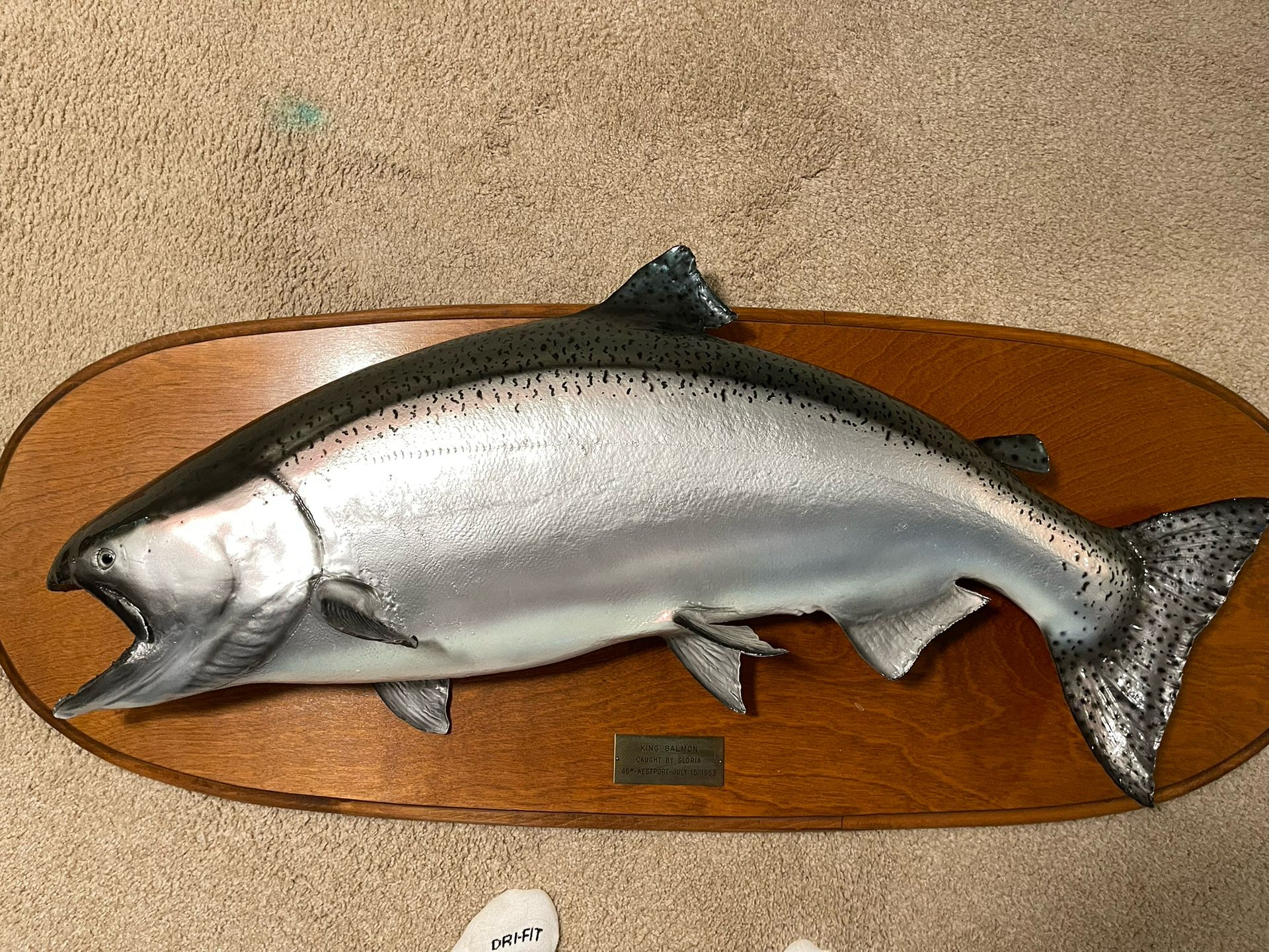 Salmon