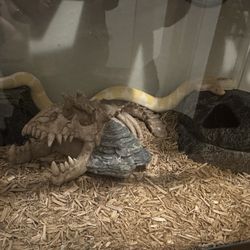 Tank For Sale