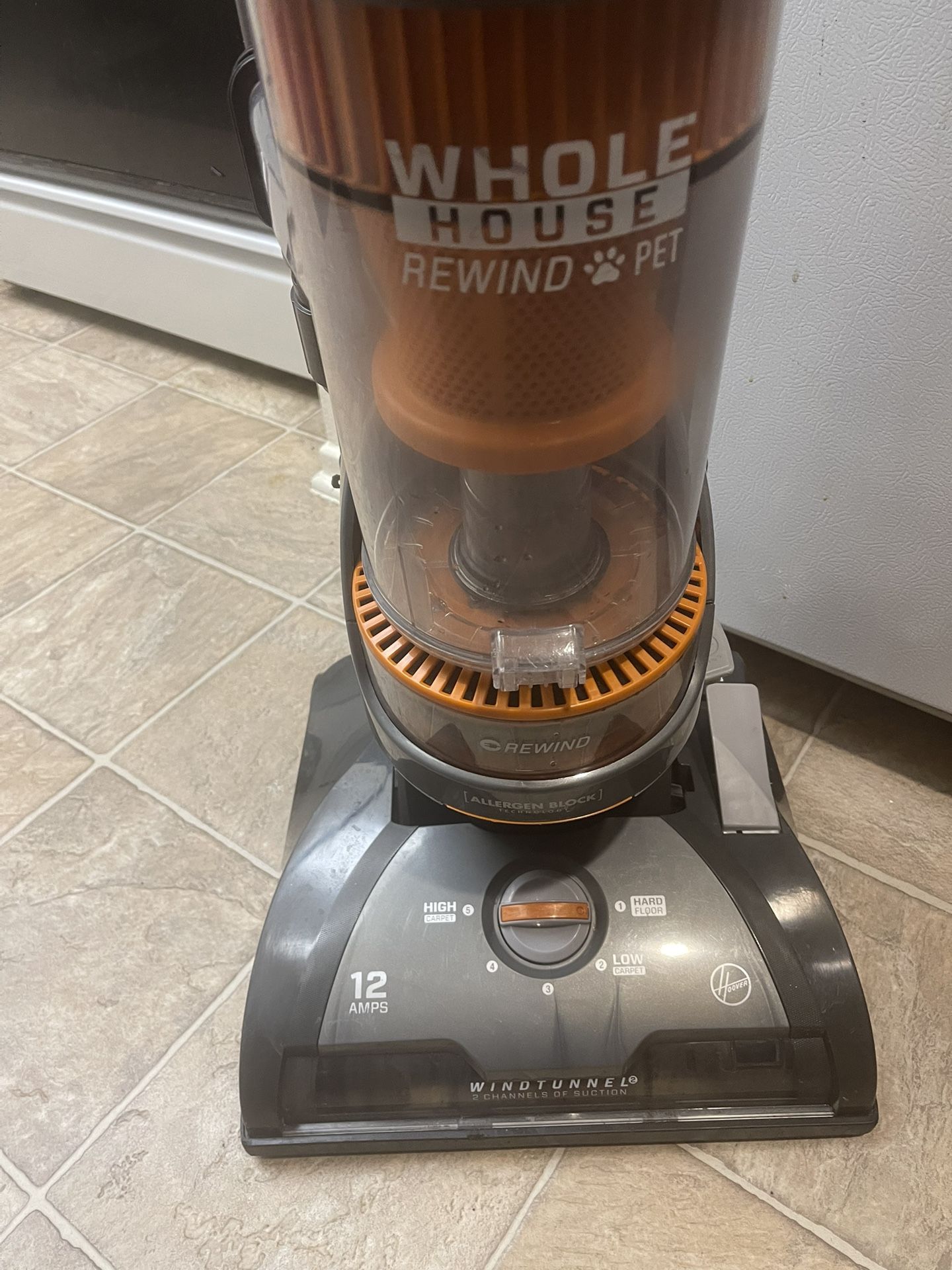 Wind tunnel, whole house BAGLESS pet vacuum