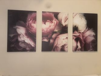 Pink Peonies Art