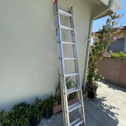 WARNER 16 ‘ LADDER 🪜 