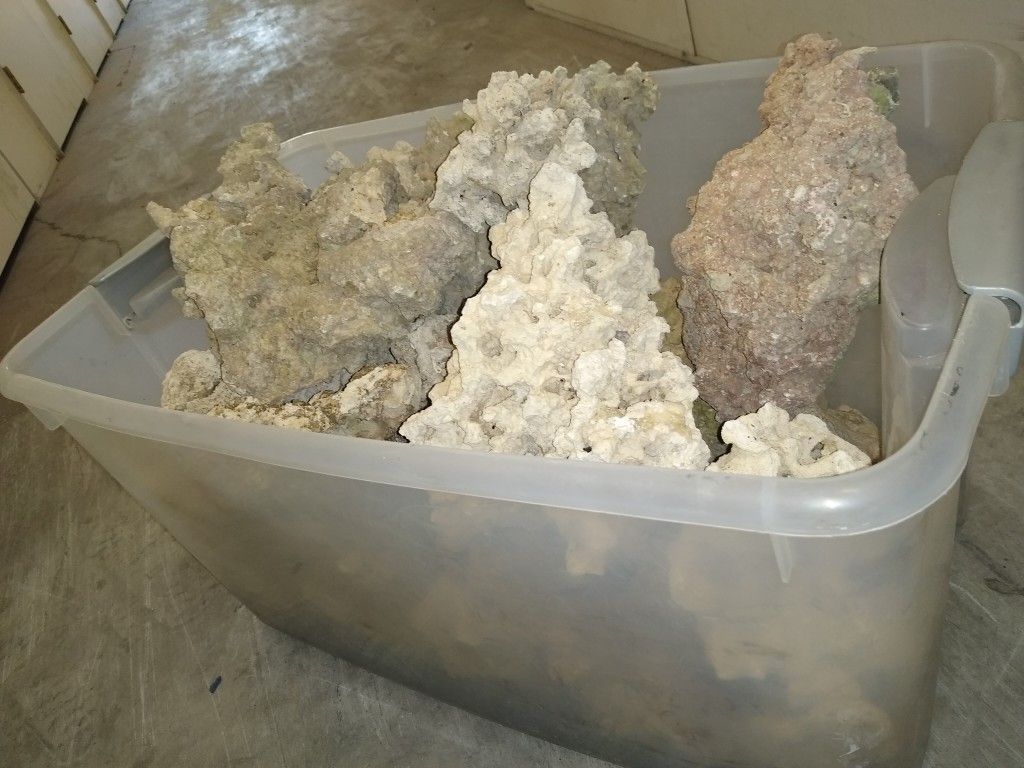 ONE LARGE TUB OF SALT WATER ROCK