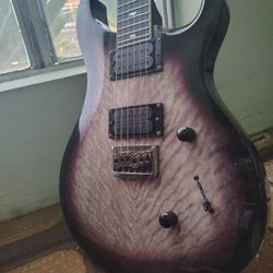 Prs Mark Holcomb Signature TRADE/SALE