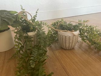 Plants