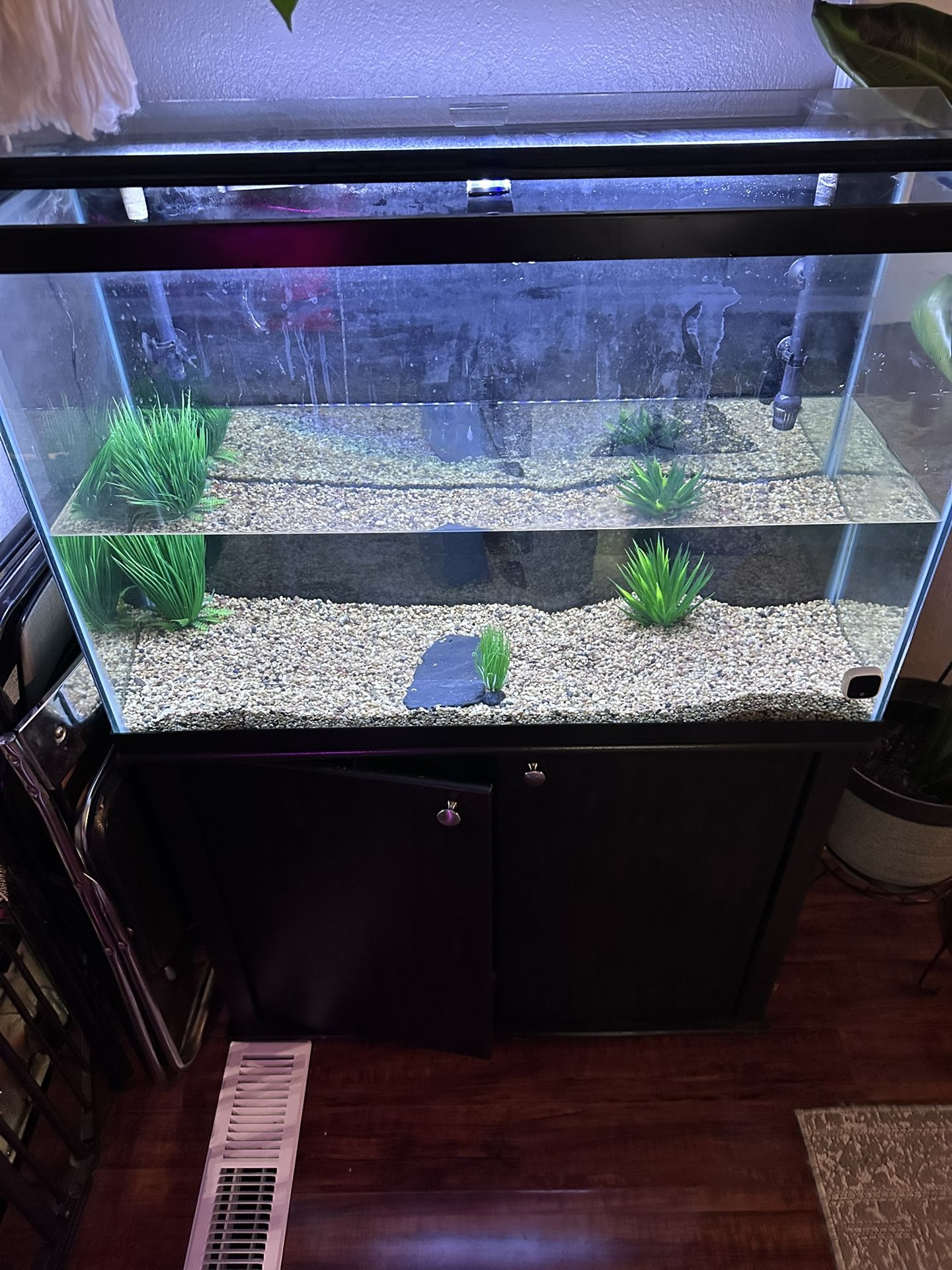 45 Gallon Fish Tank Set Up