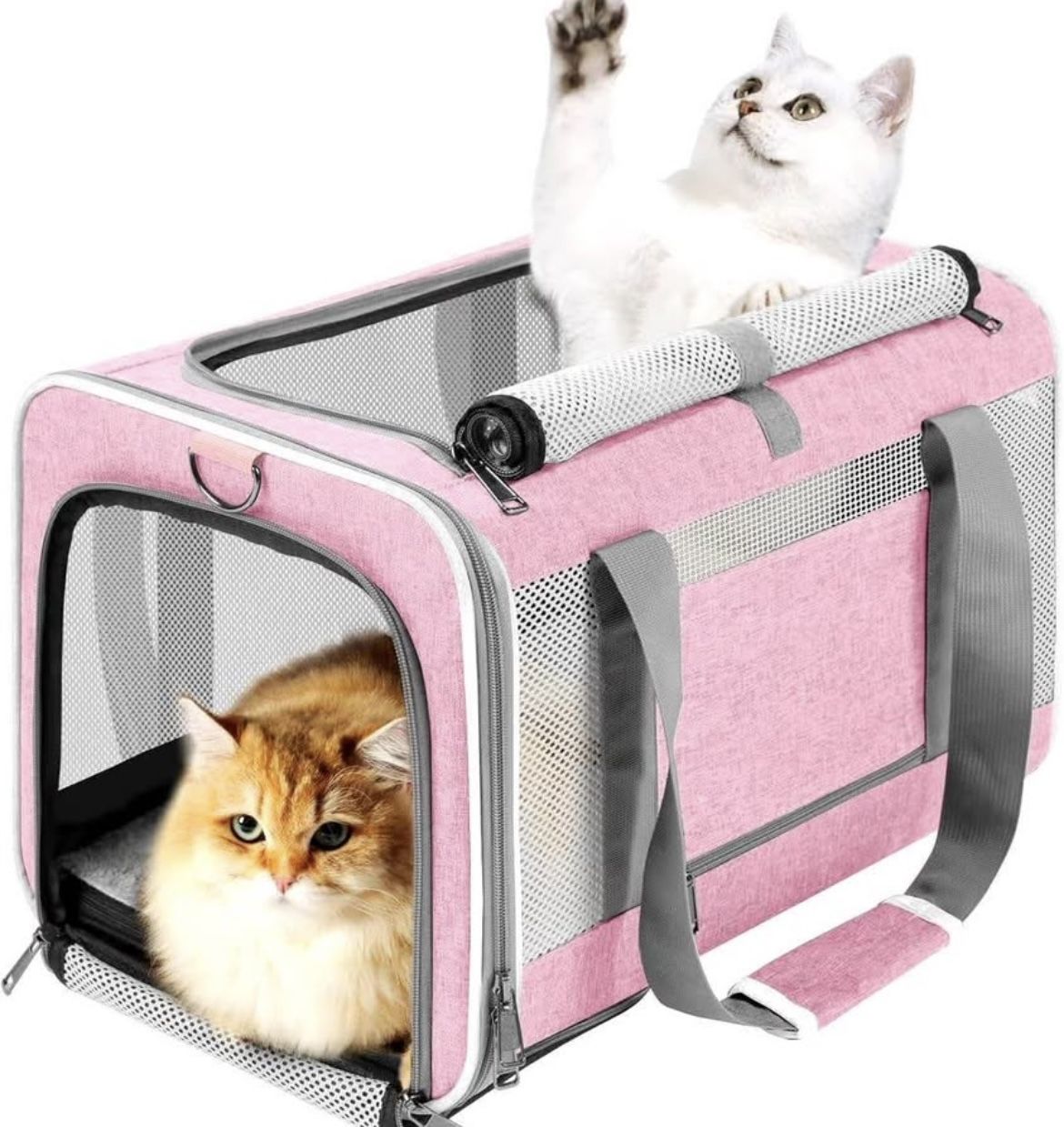 Pet Carrier