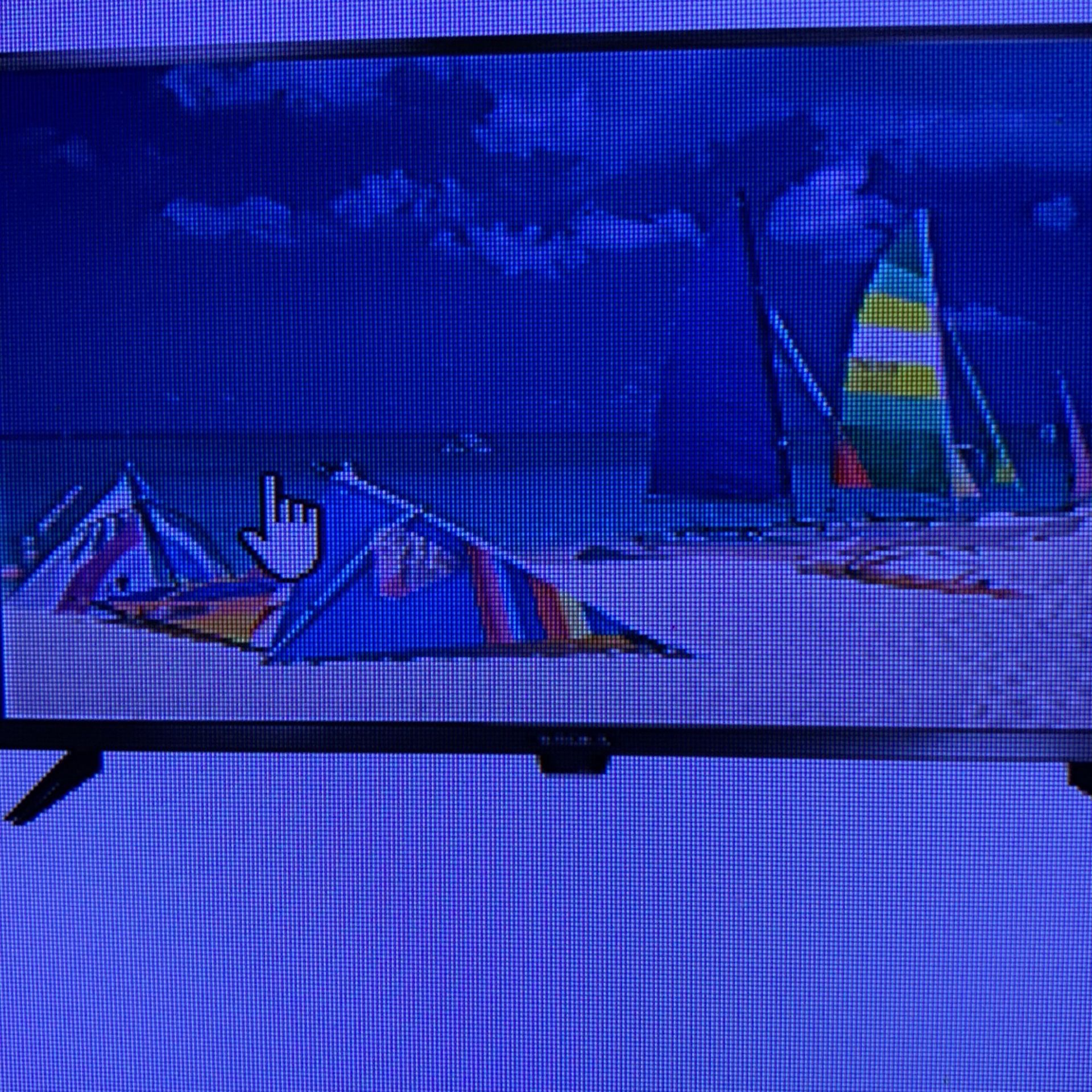 Insignia 32” NS-32D22ONA20 LED HDTV 49.99