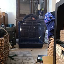 Bird Cage