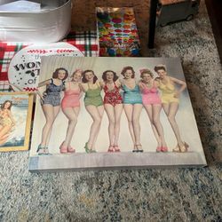 Cutest 50’s Style Canvas And Wood Plaque. Would Look Awesome By Pool Area Or Just In Your Home, Laundry Etc.