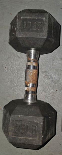 One 25 pound weight