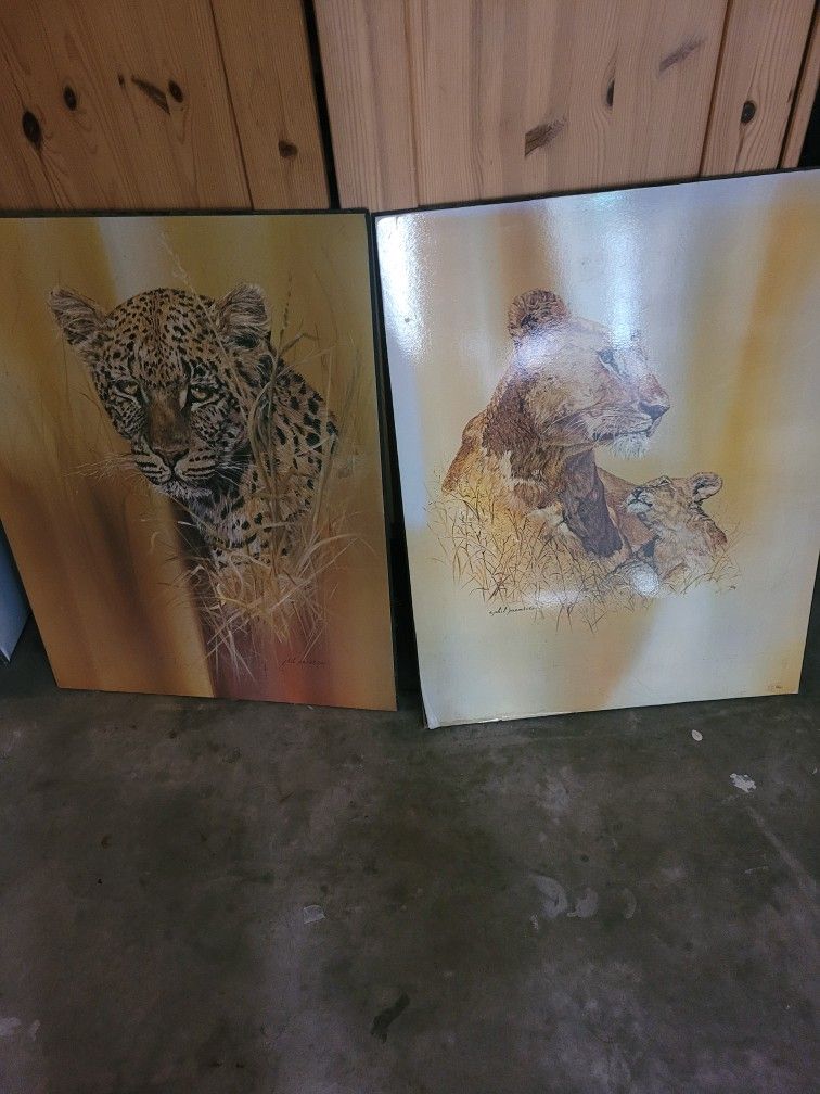 Cuadros  Con Imagen De Tigres