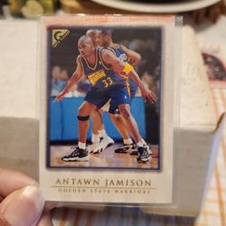 Antawn Jamison Basketball Card 
