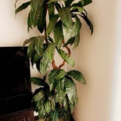  Artificial Planta 