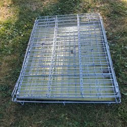 Dog Cage 