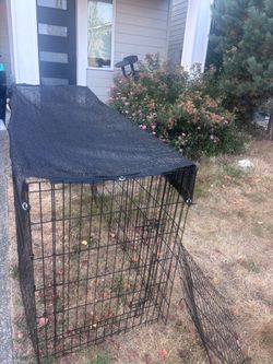 dog pen