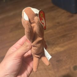 Beanie Baby Walrus