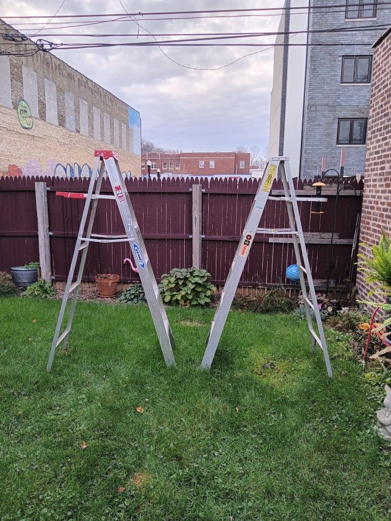 2 Ladders For $100 Or $60 Each.