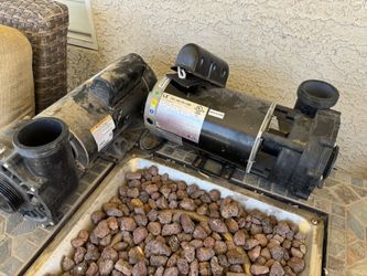 Spa Or Pool Pumps