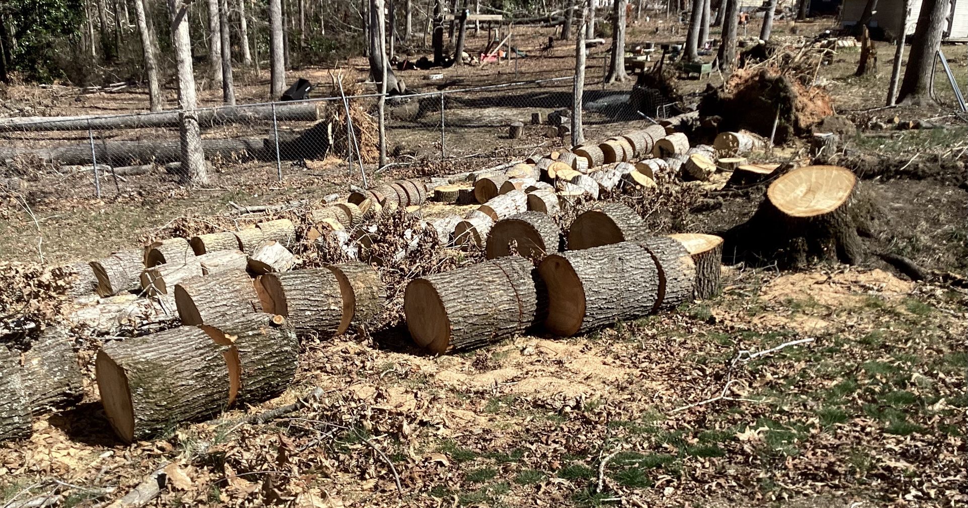 FREE Fire Wood
