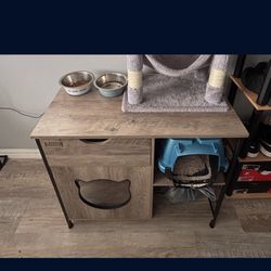 Cat hide out with draw