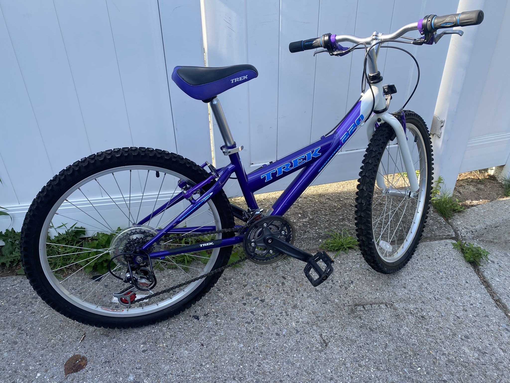 Trek Bicycle Trek 220 Mountain Track Purple 2010 Trek MT220 24" Kids MTB  Bike Purple 21