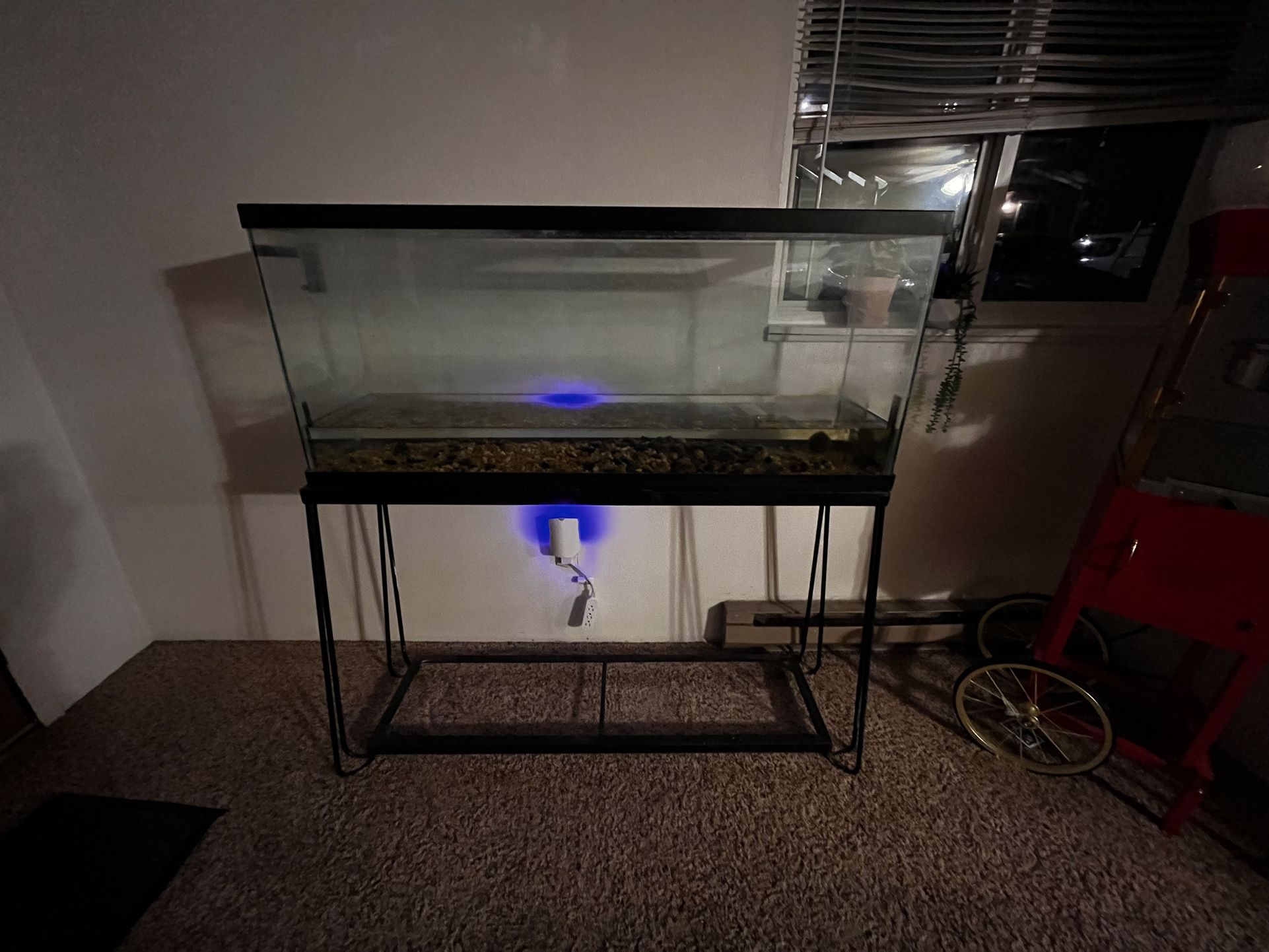 55g Fish Tank With Stand