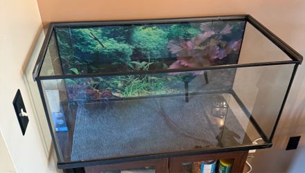 40 Gallon Glass Aquarium – No Leaks or Cracks – Great Condition