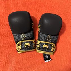 MMA Gloves