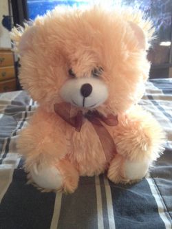 Fuffy Toy Bear