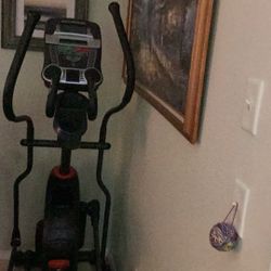 Schwann Elliptical With Power Cord