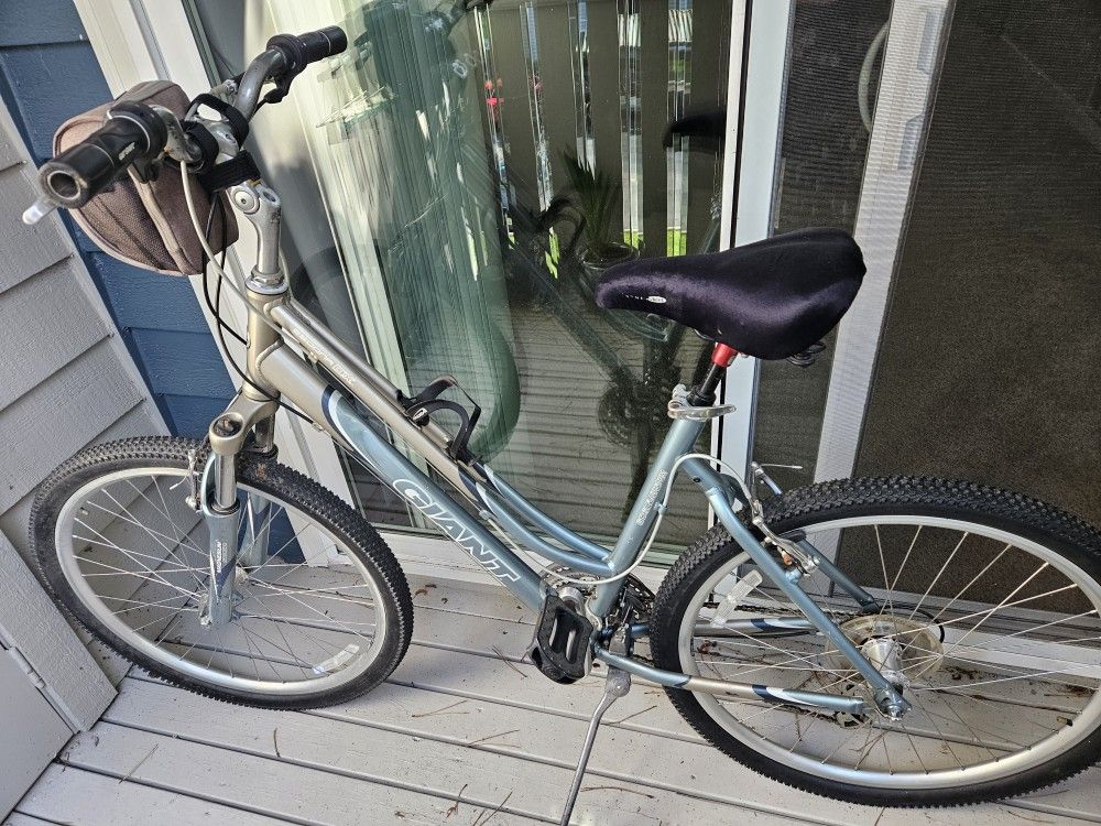 19-in Aluminum Frame, New Cushion Seat, And A Storage Bag To Hold Your Valuables.
